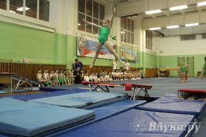 В Великих Луках состоялось Первенство по командной гимнастике (фото)