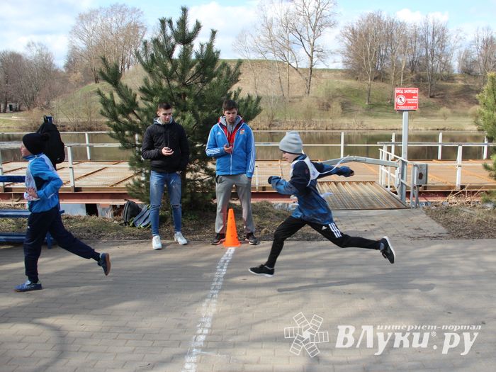 В Великих Луках прошёл легкоатлетический кросс (ФОТО)