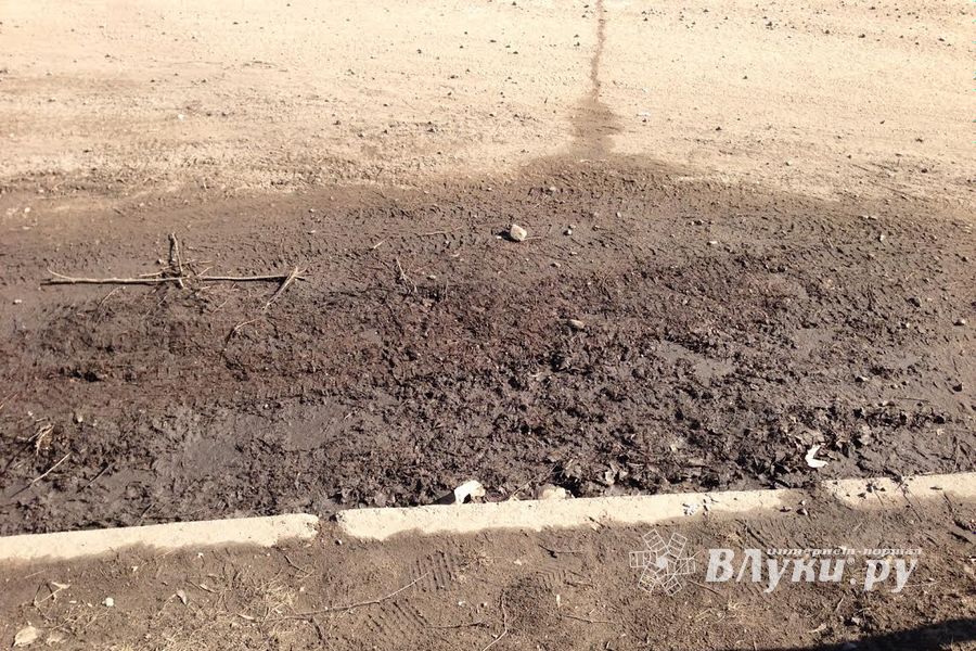 Снег ушел, пыль и грязь вернулись (фото)