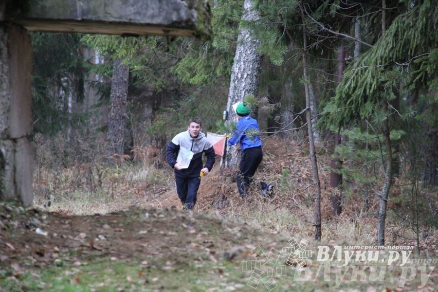 «Великолукский Марафон-2014» прошел в Сенчитском бору (фото)