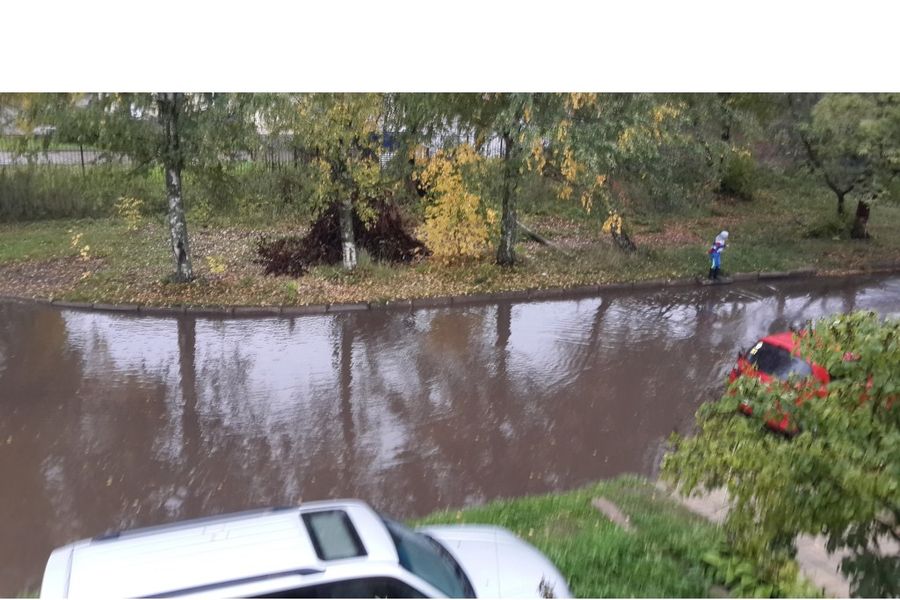 Великолучане жалуются на «упрямую» лужу размером с пруд (ФОТО)