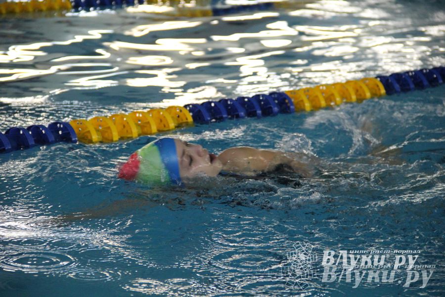 В Великих Луках прошло Первенство по плаванию (фото)