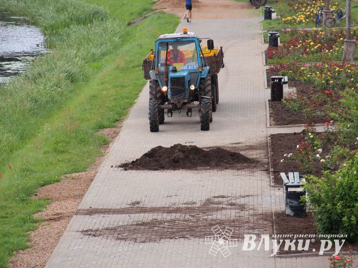 В Великих Луках сажают, стригут и красят (ФОТО)