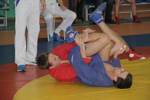 В Великих Луках прошел турнир по самбо, посвященный подвигу Александра Матросова (ФОТО)