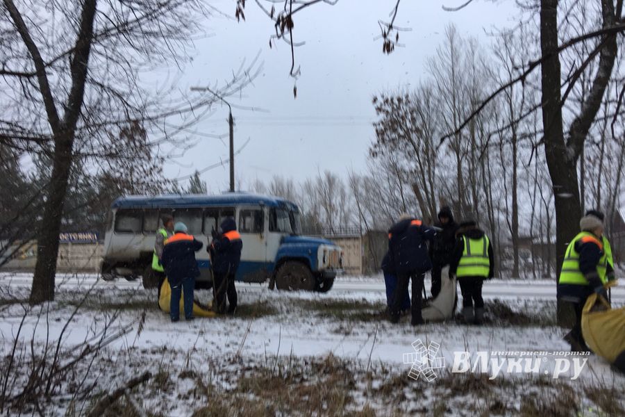 На проспекте Гагарина идет формовка деревьев (ФОТО)