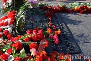 День защитника отечества в Великих Луках отметили памятным митингом и салютом