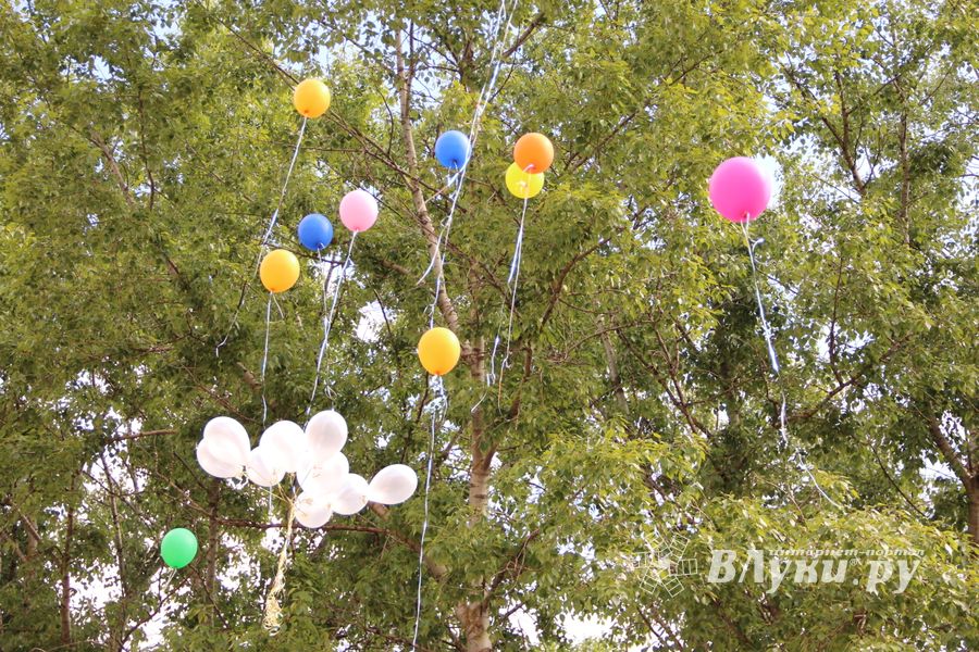 В Великих Луках прозвенели «последние» звонки (ФОТО)