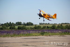 В Великих Луках прошел Фестиваль авиамодельного спорта (фото)