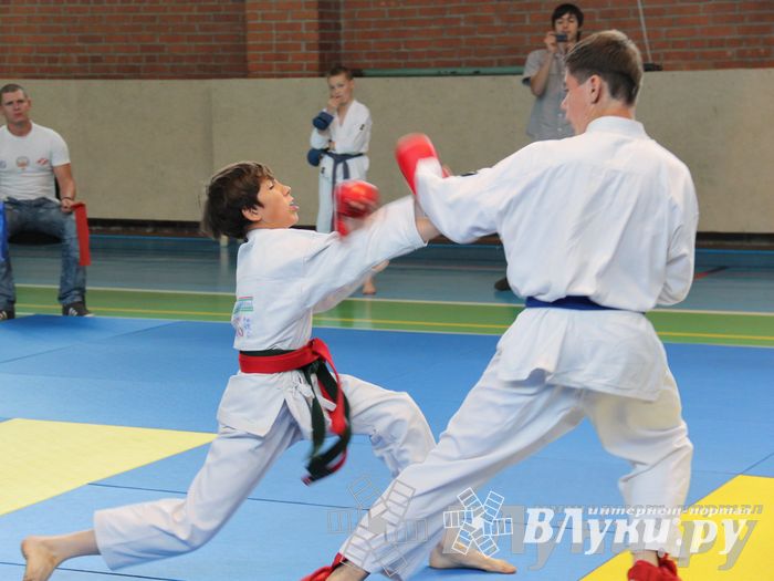Турнир по каратэ «Неприкосновенный запас — дети Отчизны»