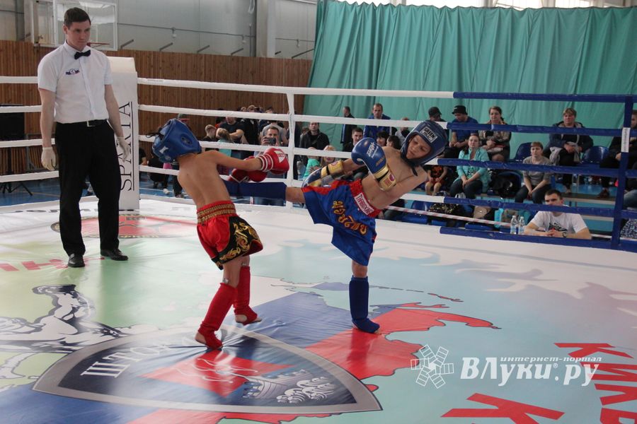 В Великих Луках прошел Кубок области по кикбоксингу (ФОТО)