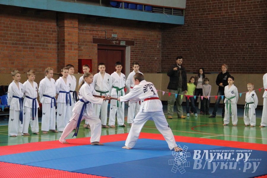 В Великих Луках прошло Первенство по тхэквондо (фото)