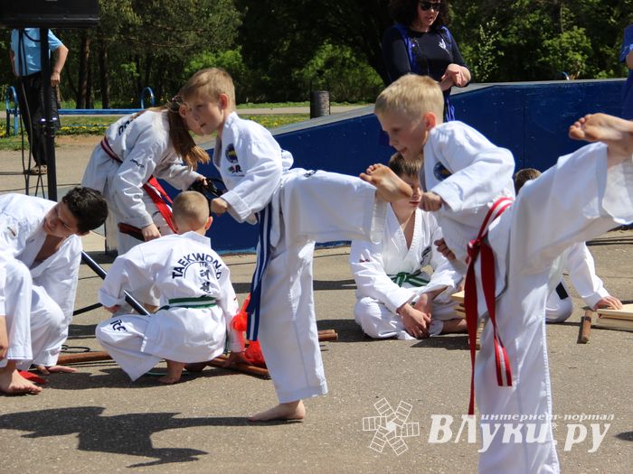 Спецназ «разгромил» на Дятлинке «банду»