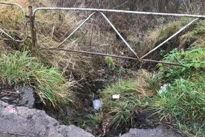 Провал на набережной Великих Лук укрепят (ФОТО)