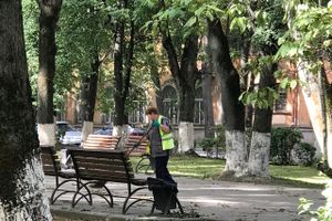 Парк Пушкина: «... А вкруг меня глухое запустенье...» (ФОТО)