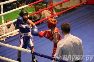 Открытие 16-го  Международного турнира по боксу