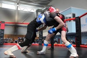 В Великих Луках прошел кубок по смешанному боевому единоборству (ФОТО)