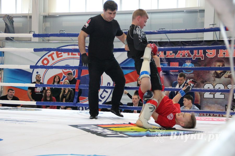 Открытый кубок по смешанному боевому единоборству ММА прошел в Великих Луках (ФОТО)