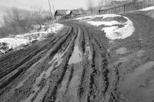 Великолучанка: в городе вместо дорог — болото (ФОТО)