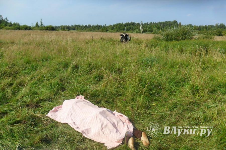 В Псковской обласи на пенсионерку напал бык - женщина погибла (ФОТО)