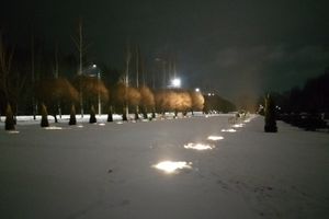 © ВЛуки.ру
