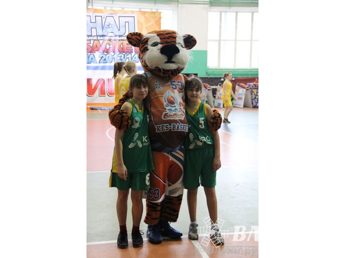 Чемпионат ШБЛ «КЭС-БАСКЕТ» сезона 2013-2014 гг. Псковской области