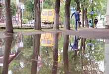 Мечта великолучан: по городу в чистой обуви (ФОТО)