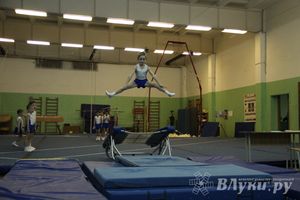 В Великих Луках состоялось Первенство по командной гимнастике (фото)