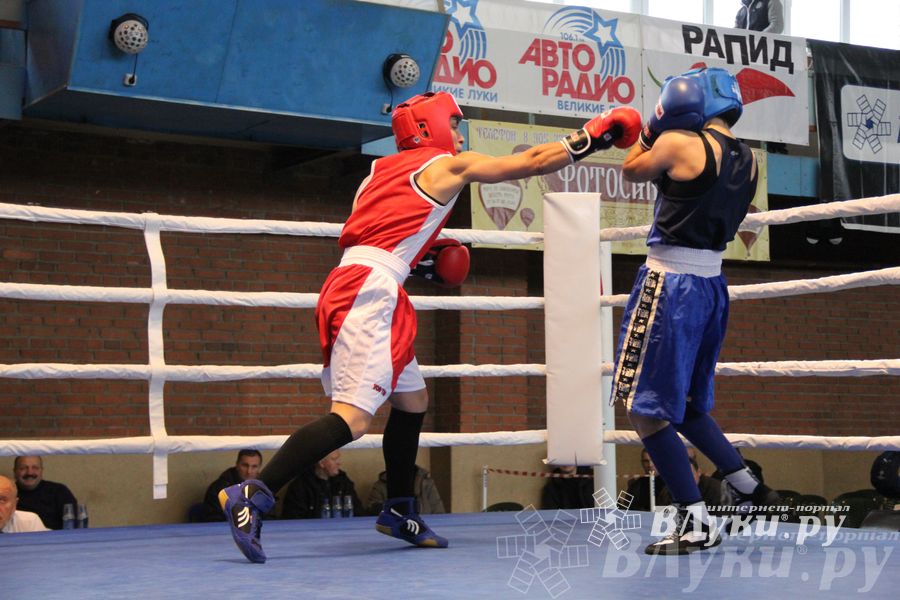 16-й Международный турнир по боксу (фото)