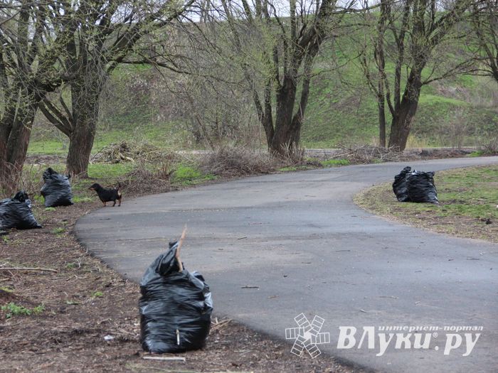 На острове Дятлинка проходит субботник