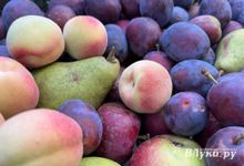 Прогноз погоды на 16 сентября в Великих Луках