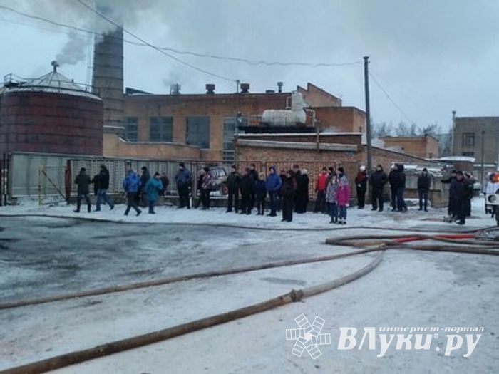 В Великих Луках сгорел автосервис (фото)
