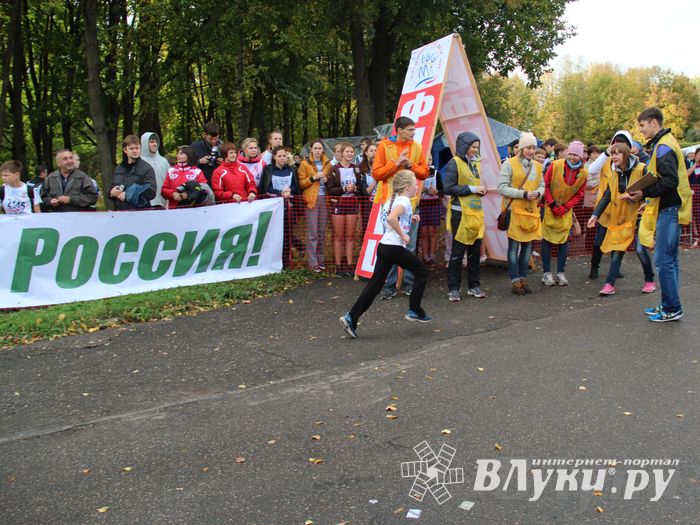 Кросс нации