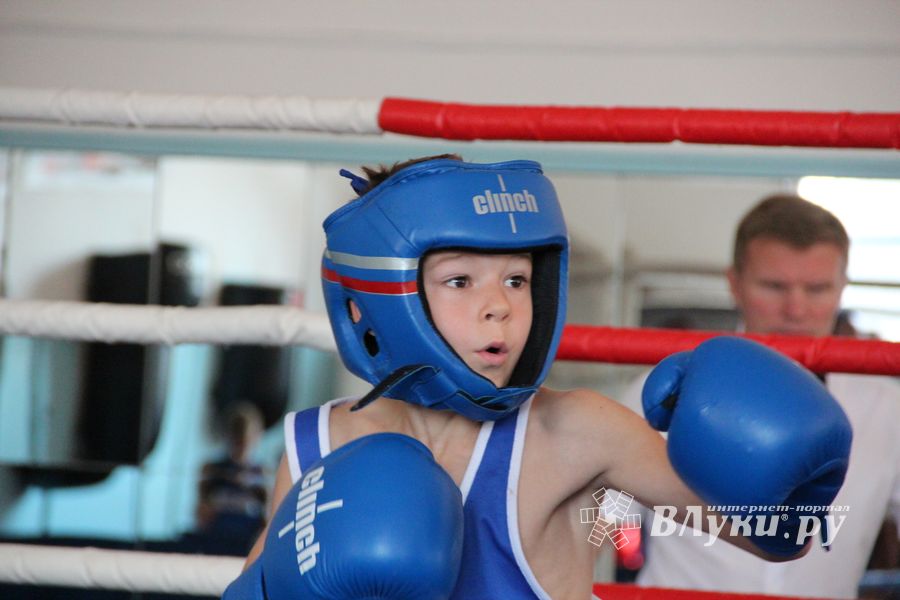 Фестиваль боевых искусств прошел в Великих Луках (ФОТО)