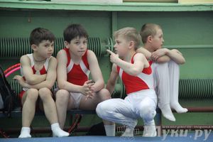 Открытый Кубок Псковской области по спортивной гимнастике