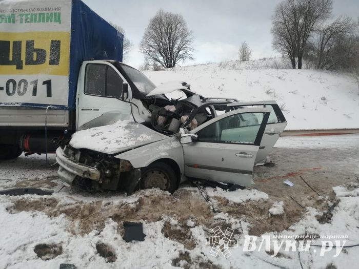 Смертельное ДПТ произошло в Куньинском районе (ФОТО)