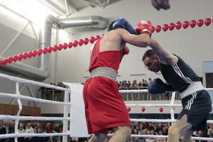 Матчевая встреча по боксу Великие Луки —Псков — Грозный (ФОТО)