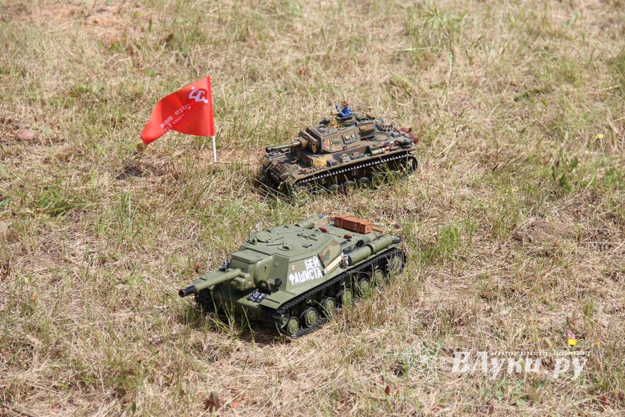 В Великих Луках проходит 7-й Фестиваль авиамодельного спорта (ФОТО)