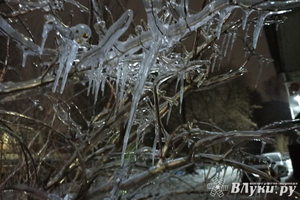 Сегодня великолучанам обещают до +3 и усиление ветра