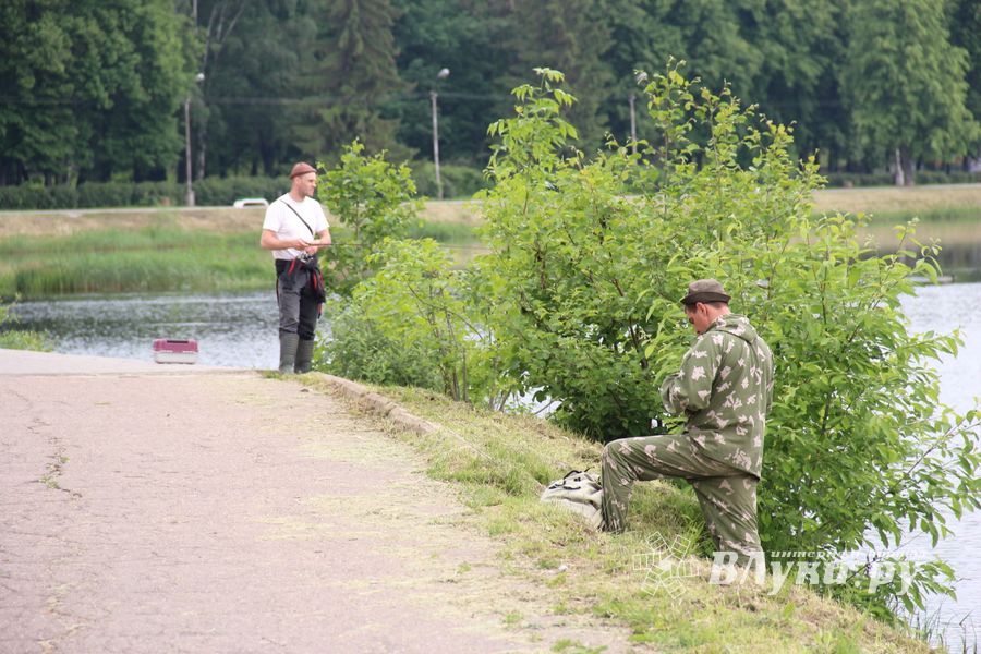 Чемпионат Великих Лук по ловле спиннингом: клевала, но мало (ФОТО)
