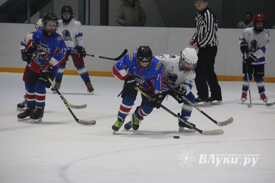 В Великих Луках прошел детский Открытый турнир по хоккею (ФОТО)