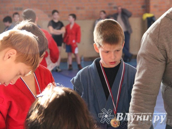 состоялось Открытое первенство города Великие Луки по борьбе самбо