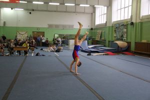 В Великих Луках прошло Первенство города по спортивной гимнастике (фото)
