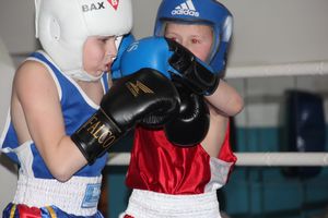 Открытое первенство по боксу прошло в Великих Луках (ФОТО)