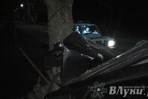 В Великих Луках водитель БМВ врезался в дерево (ФОТО)