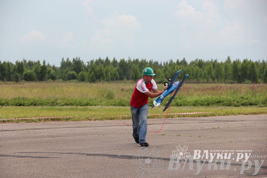 В Великих Луках прошли воздушные бои (фото)