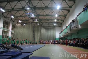 «Парад гимнастики» прошел в Великих Луках (фото)