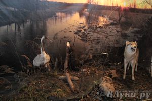 Обзор выставок Краеведческого музея