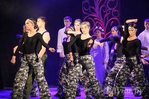 Концерт музыкального театра «Трубадур» «Танец — это маленькая жизнь...» (фото)