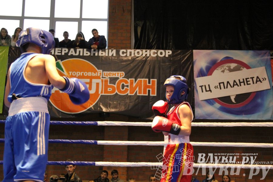 Открытие 16-го  Международного турнира по боксу