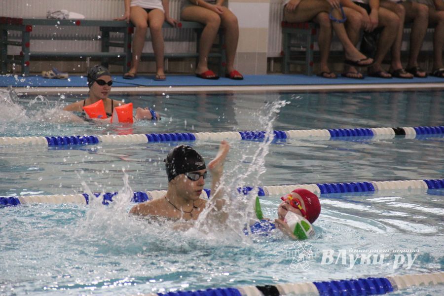 В Великолукском Айсберге прошли соревнования по плаванию на призы Деда Мороза (ФОТО)